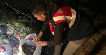 Van Gölü'nde Kaçak Avlanan 3,5 Ton İnci Kefali Bulundu