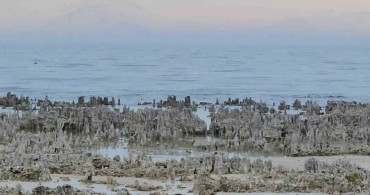 Van Gölü'nde Kuraklık Sorunu: Adilcevaz'da Mikrobiyalitler Ortaya Çıktı