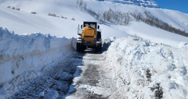 Van, Muş, Hakkari ve Bitlis'te Ulaşım Sorunları