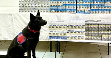 Van'da 8 Bin 200 Paket Kaçak Sigara Ele Geçirildi