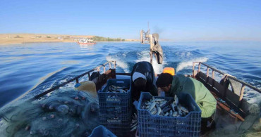 Van'da 90 günlük inci kefali av yasağı sona erdi