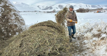 Van'da Besicilerin Kış Mücadelesi
