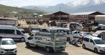 Van'da Canlı Hayvan Pazarında Silahlı Kavga: 1 Ölü, 13 Yaralı