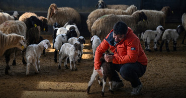 Van’da Genç Girişimciye “Sürü” Desteği Verildi