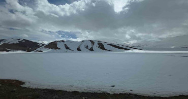 Van'da İki Mevsim: Kış ve Bahar Aynı Anda Yaşanıyor