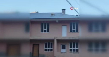 Van'da iki yavru keçinin çatı macerası mahalleliyi heyecanlandırdı