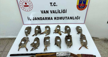 Van'da Kaçak Avcıya Büyük Ceza
