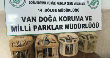 Van'da Kafes Avcılığına Büyük Ceza