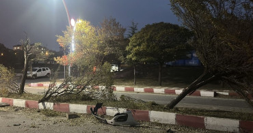 Van'da Takla Atan Araçta Üç Yaralı