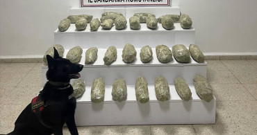 Van'da Uyuşturucu Operasyonu: 21 Kilo Skunk Ele Geçirildi
