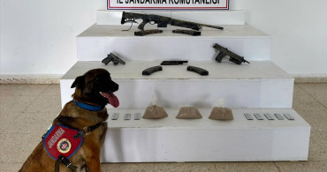 Van'da Uyuşturucu ve Silah Operasyonu