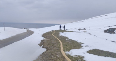Van'da Yaban Kuşlarına Yardım: 1,5 Ton Buğday Bırakıldı
