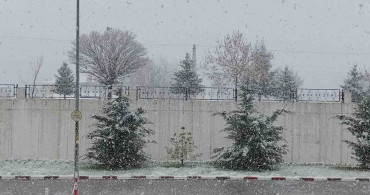 Van’ın Erciş İlçesinde Nisan Yağmurları Yerine Kar Yağdı