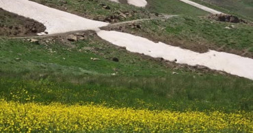 Van'ın Norduz bölgesi bahar ve kışın eşsiz görsel şölenini sunuyor