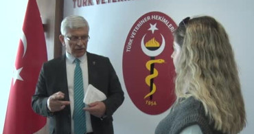 Veteriner Hekimler Birliği'nden Kurbanlık Hayvanlarla İlgili Uyarılar