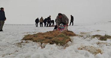 Yaban Hayvanları İçin Doğaya Yem Bırakıldı