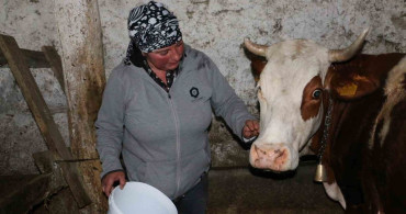 Yabancı Gelin Nino Eroğlu'nun Hayvancılık Serüveni