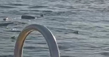 Yalova açıklarında su tankeri, tekneye çarptı; 2 kişi kurtuldu