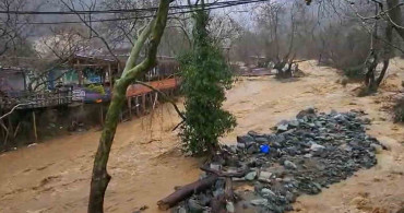 Yalova'da Sel Felaketi: 5 Hayvan Telef Oldu