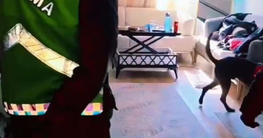 Yalova’da Uyuşturucu Operasyonu: 1 Tutuklama ve Uyuşturucu Ele Geçirildi