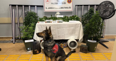 Yalova'da Uyuşturucu Operasyonu: İki Şüpheli Tutuklandı