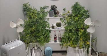 Yalova'da Uyuşturucu Üreten Hükümlü Yakalandı