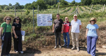 Yalova'da yaban mersininde iyi tarım uygulamaları denetleniyor