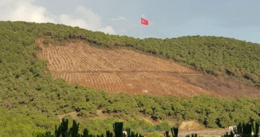 'Yanan Ormanların Yerine Otel Yapılıyor' Yalanı Patladı! 5 Milyondan Fazla Ağaç Dikildi