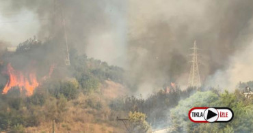 Hatay'daki Yangın Yerleşim Alanlarına Sıçradı