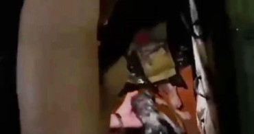 Yangında mahsur kalan kedi itfaiye ekipleri tarafından kurtarıldı