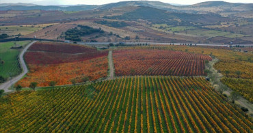 Yanık Ülke'de Sonbahar Hues: Görsel Şölen