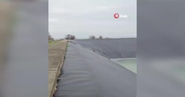 Yapay Gölete Düşen Çakal İtfaiye Ekipleri Tarafından Kurtarıldı