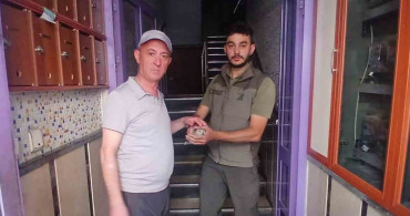Yaralı kumruyu şırıngayla besleyerek kurtaran adamın hikayesi