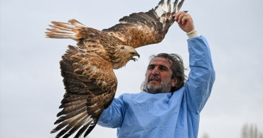 Yaralı Kuşlar Van'da Hayata Tutunuyor