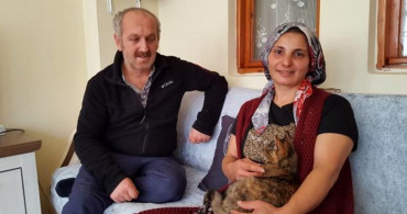 Yaramaz Kedi Yorganla Birlikte Çamaşır Makinesine Atıldı! İtfaiye Ekipleri Son Anda Kurtardı!