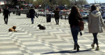 Yasağa Aldırış Etmeyen İstanbullular Sahile Akın Etti