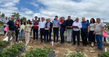 Yayla çileği aromasıyla öne çıkıyor