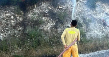 Yayladağı’nda ormanlık alanda çıkan yangın kontrol altına alındı