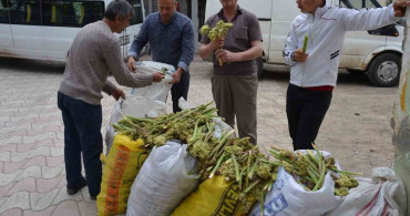 Yaylalardan Tezgâhlara: Işgın Satışı Başladı