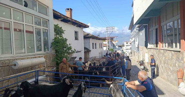 Yazıkent Mahallesi'nde Kurban Pazarı Canlanıyor