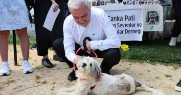 Yeni Yuvalar İçin Sahiplendirme Şenliği