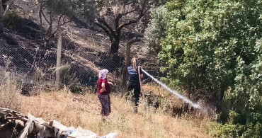 Yenipazar'daki Makilik Yangını Kontrol Altına Alındı