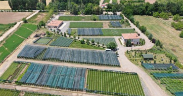 Yeşil Vatan İçin 273 Milyon Fidan Üretimi Yapıldı