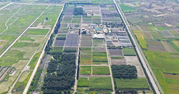 Yeşil vatan için fidan seferberliği sürüyor