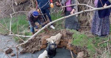 Yozgat'ta Büyükbaş Hayvan Kuyuya Düştü