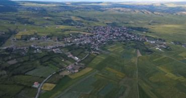 Yozgat'ta nadasa bırakılan tarlalar, mor çiçeklerle kaplandı