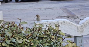 Yozgat’ta Nisan Ayında Kar Sürprizi