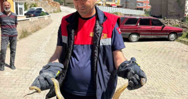 Yozgat'ta otomobilin motoruna giren yılan itfaiye ekiplerince çıkarıldı