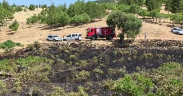 Yüksek gerilim hattına çarpan kuş yangına neden oldu