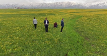 Yüksekova’da Bahar ve Kışın Eşsiz Görsel Birleşimi